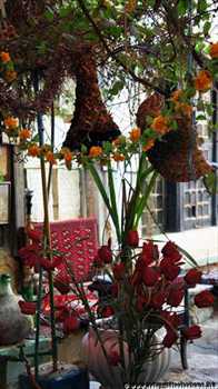 casa_del_the